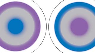 optomized biofinity contact lenses